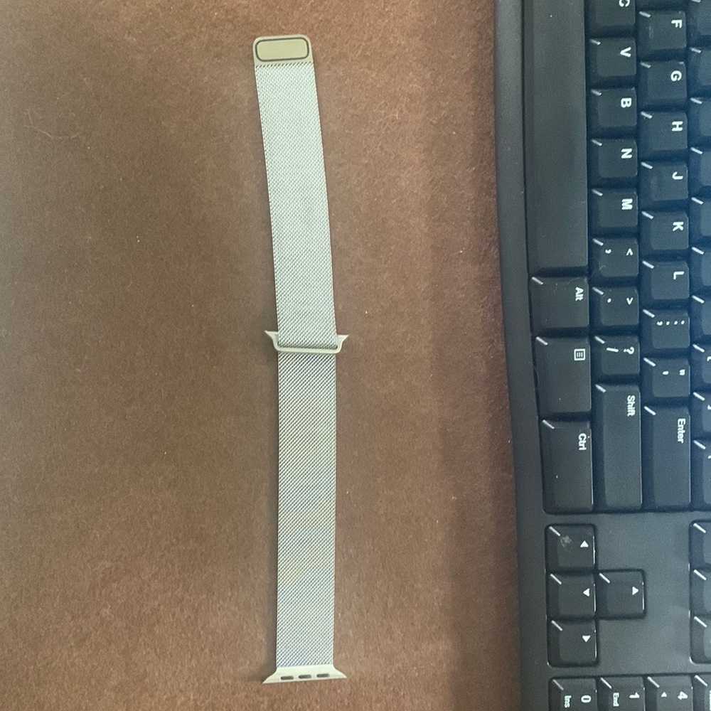 STAINLESS STEEL APPLE WATCH STRAP Milanese (apple brand)